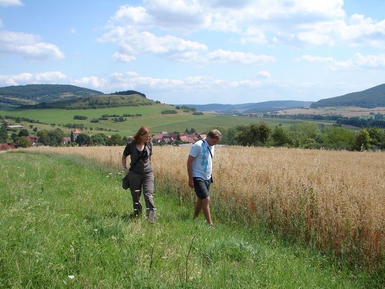 Petra Ludwig - Projektleiterin des NSGP- und Stefan Meyer von der Uni Göttingen bei einer Begehung des Ackers (Foto: LPV)
